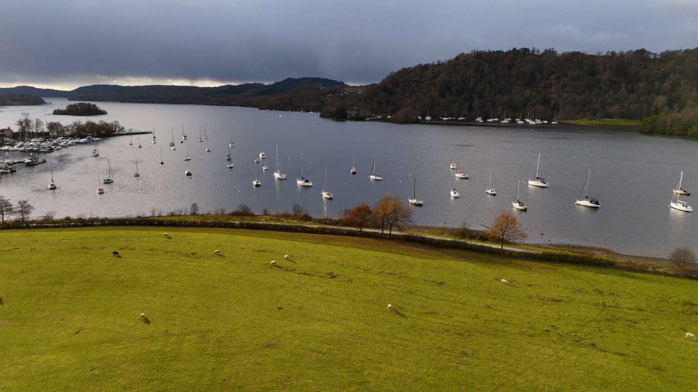 Lake Windermere, with yachts and sheep in the foreground